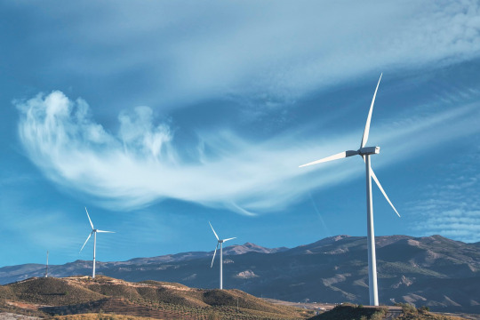environmental management sustainability ISO 14001